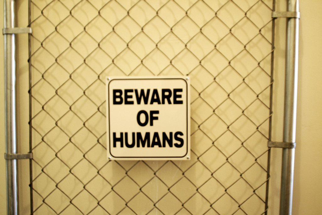 Beware – Reflections